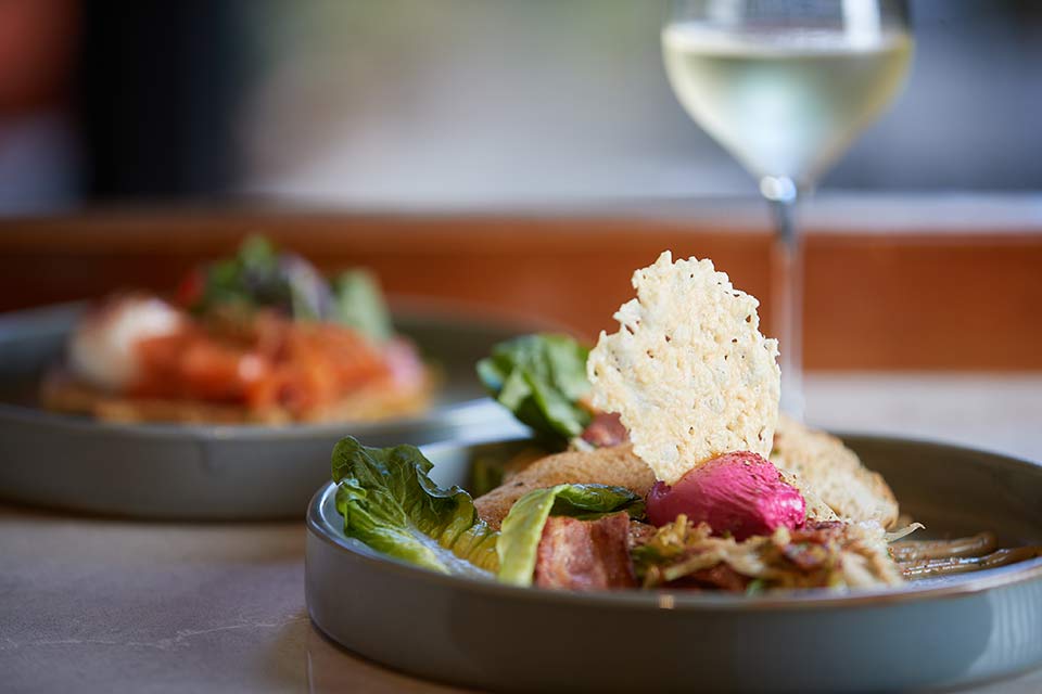 Scotts Logo on Window